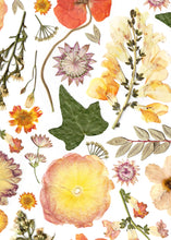 Load image into Gallery viewer, Pressed flower large botanical print - 16" x 20"  Nature's Mosaic - Golden Meadow