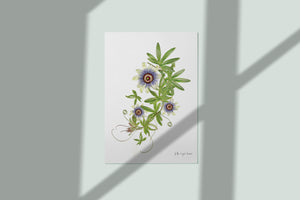 Pressed flower art, Botanical print, herbarium specimen dried flower art, pressed botanical art 8.5" x 11", Passion Vine Flowers