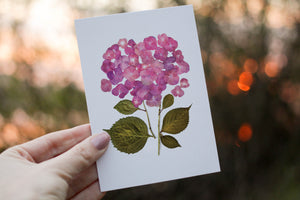 Pink Hydrangea  - Pressed flower collection greeting card