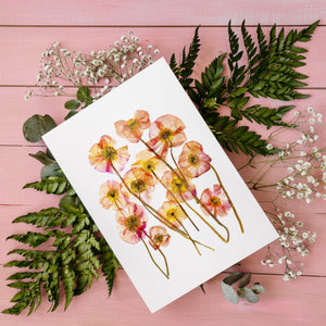 Poppy Flower - Pressed flower collection card