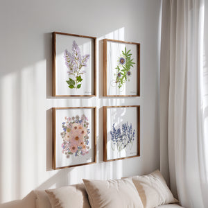 Botanical print, Pressed flowers herbarium specimen dried flower art, pressed botanical art 8.5" x 11" UNFRAMED PRINT Pink Rose Delphinium
