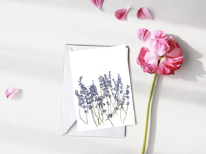 Blue Sage Salvia - Pressed flower collection greeting card