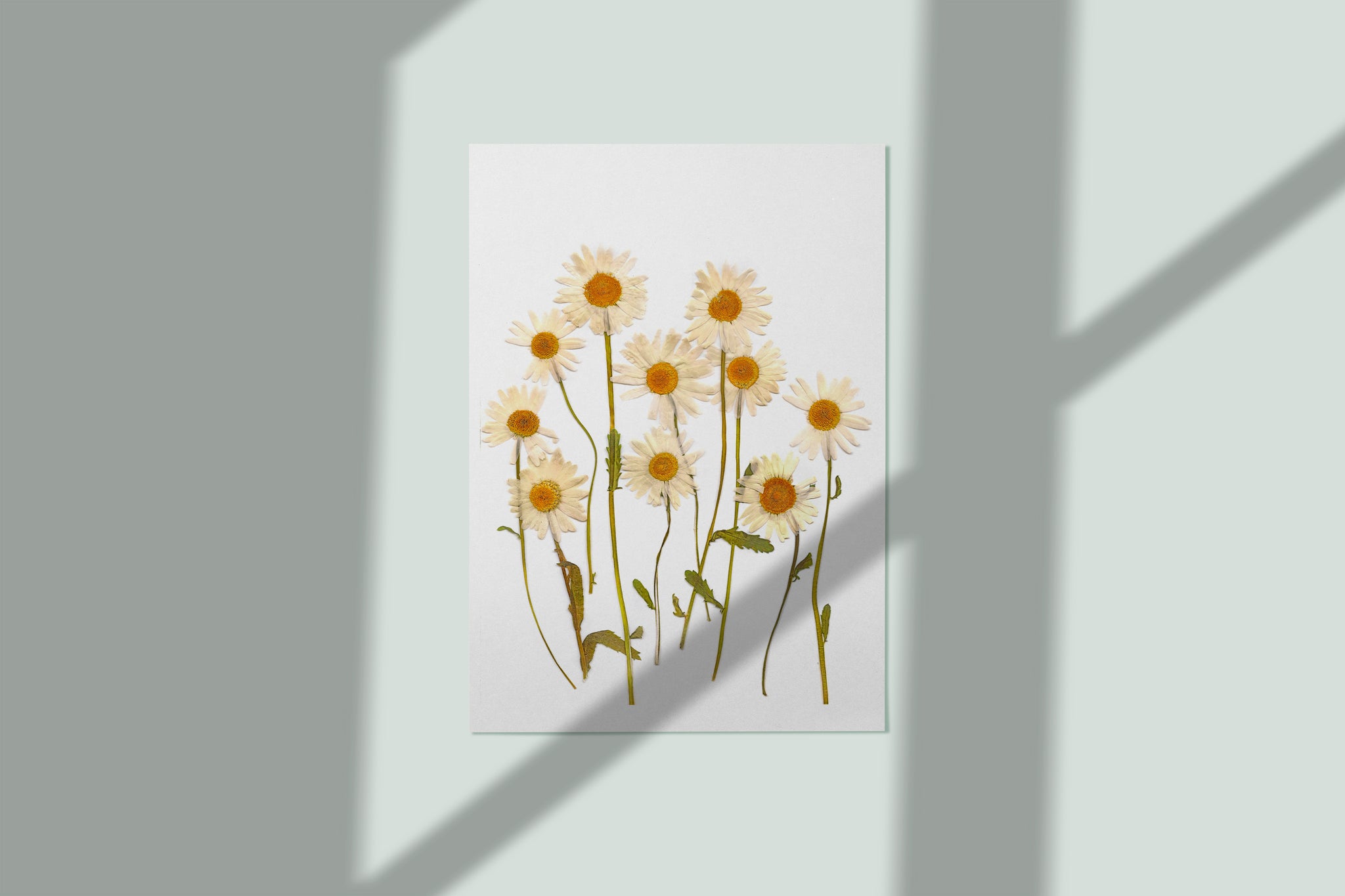  Pressed Flower Art,Wildflower Print,Dried Flowers  Print,Herbarium Print,Black Botanical Prints,Dark Floral Wall Art,Dark Flower  Art, Wall Art, Art Print : Handmade Products