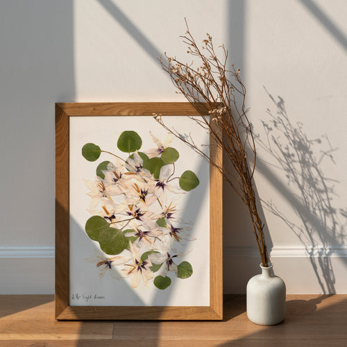 Pressed flower art, Botanical print, herbarium specimen dried flower art, pressed art 8.5