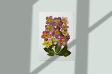 Load image into Gallery viewer, Pressed flower art, Botanical print, herbarium specimen dried flower art, pressed botanical art 8.5&quot; x 11&quot; WINTER ROSE