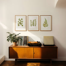 Load image into Gallery viewer, Pressed flower art, Botanical print, herbarium specimen dried flower art, Eucalyptus