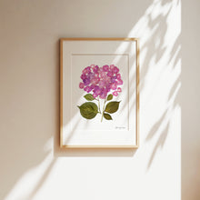 Load image into Gallery viewer, Botanical print, Pressed flowers herbarium specimen dried flower art, pressed botanical art 8.5&quot; x 11&quot; UNFRAMED PRINT/ HYDRANGEAS