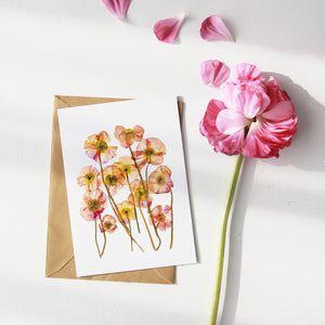 Poppy Flower - Pressed flower collection card