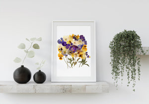 Pressed flower art, Botanical print, herbarium specimen dried flower art, pressed botanical art 8.5" x 11", Viola Pansy UNFRAMED PRINT