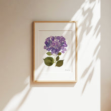 Load image into Gallery viewer, Botanical print, Pressed flowers herbarium specimen dried flower art, pressed botanical art 8.5&quot; x 11&quot; UNFRAMED PRINT/ HYDRANGEAS