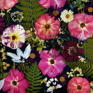Pressed flower large botanical print - 20" x 30" Fern & Rose Noir Symphony