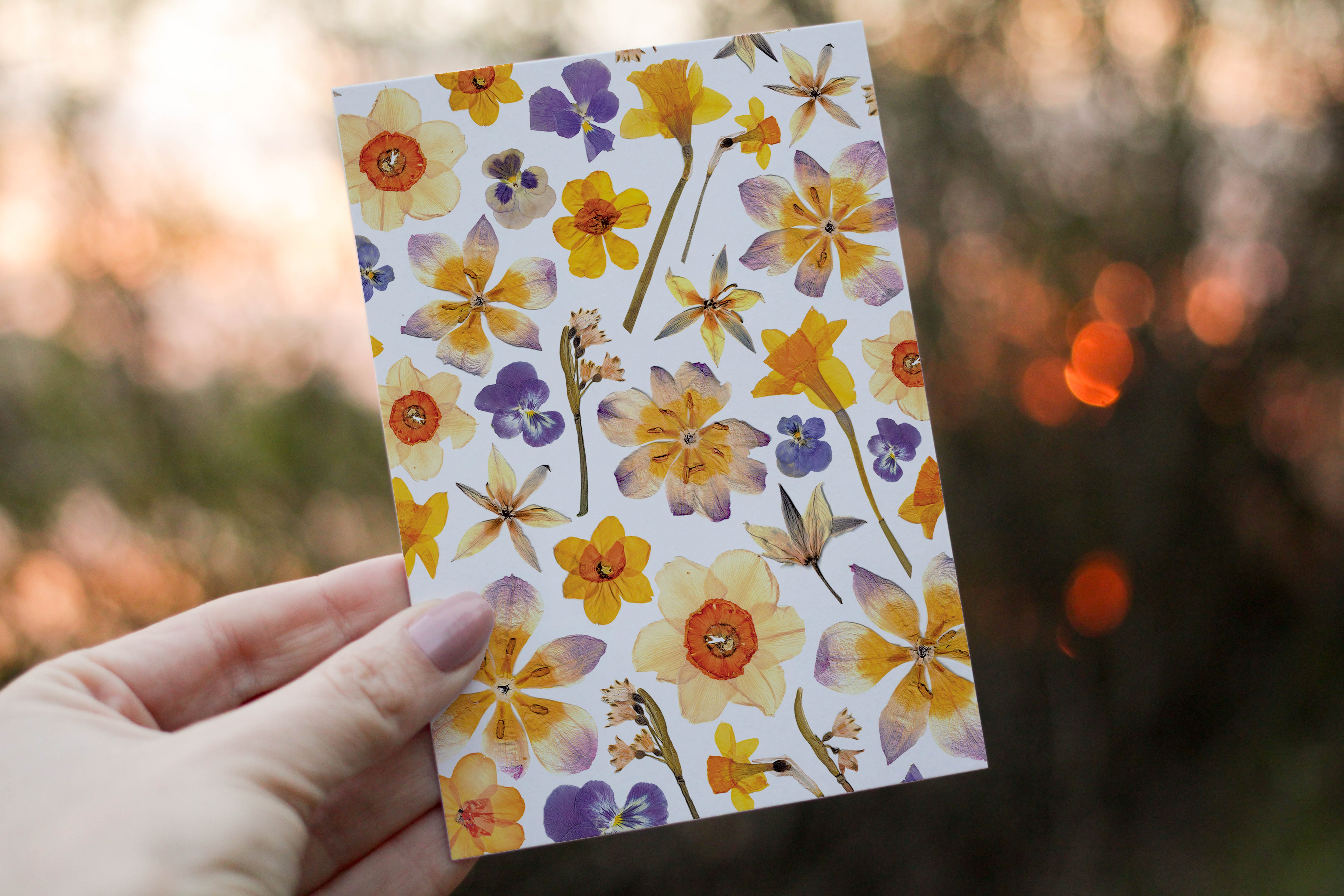 Tulips/Daffodils - Pressed flower collection greeting card