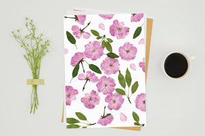 Cherry Blossom  - Pressed flower collection card