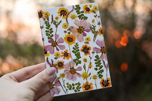 Cosmos/Coreopsis Mix - Pressed flower collection greeting card