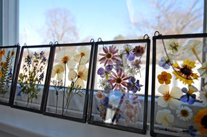 Pressed flower wall hanging - Chrysanthemum mix
