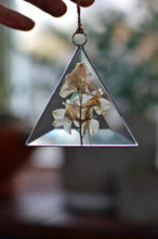 Load image into Gallery viewer, Pressed Flowers Glass Ornament - White larkspur, Bevel suncatcher