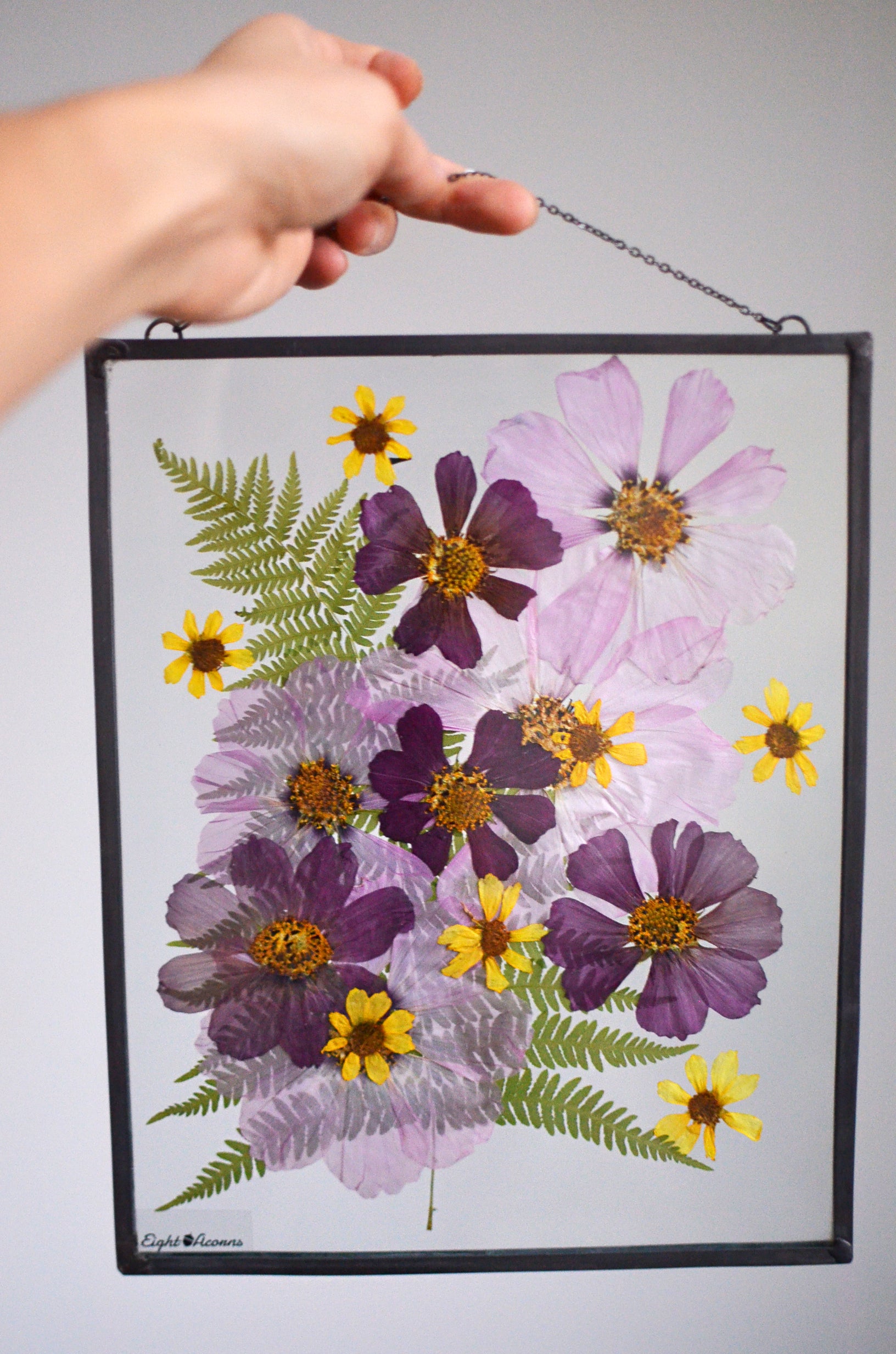 Vibrant Pressed Flowers, Pressed Flower Frame, Framed Dried Flowers, Wall  Hanging, Floating Frame, Office Decor, Pressed Flowers, Feather 