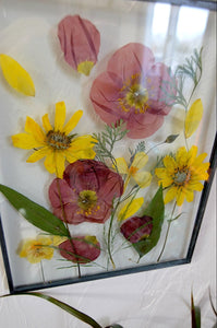 Pressed flower frame - Poppies