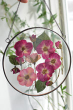 Load image into Gallery viewer, Round pressed flower wall hanging - Red ROSE