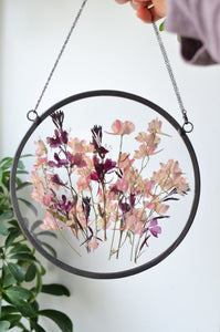 Round pressed flower wall hanging - Pink Delphinium/Gaura