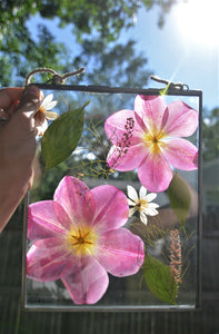 Pressed flower frame