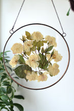 Load image into Gallery viewer, Round pressed flower wall hanging - White Rose