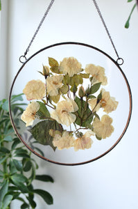 Round pressed flower wall hanging - White Rose