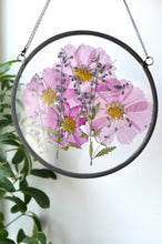 Load image into Gallery viewer, Round pressed flower wall hanging - Pink Cosmos