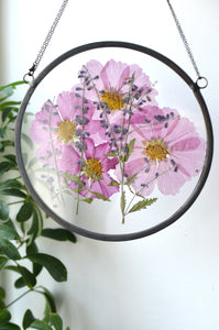 Round pressed flower wall hanging - Pink Cosmos