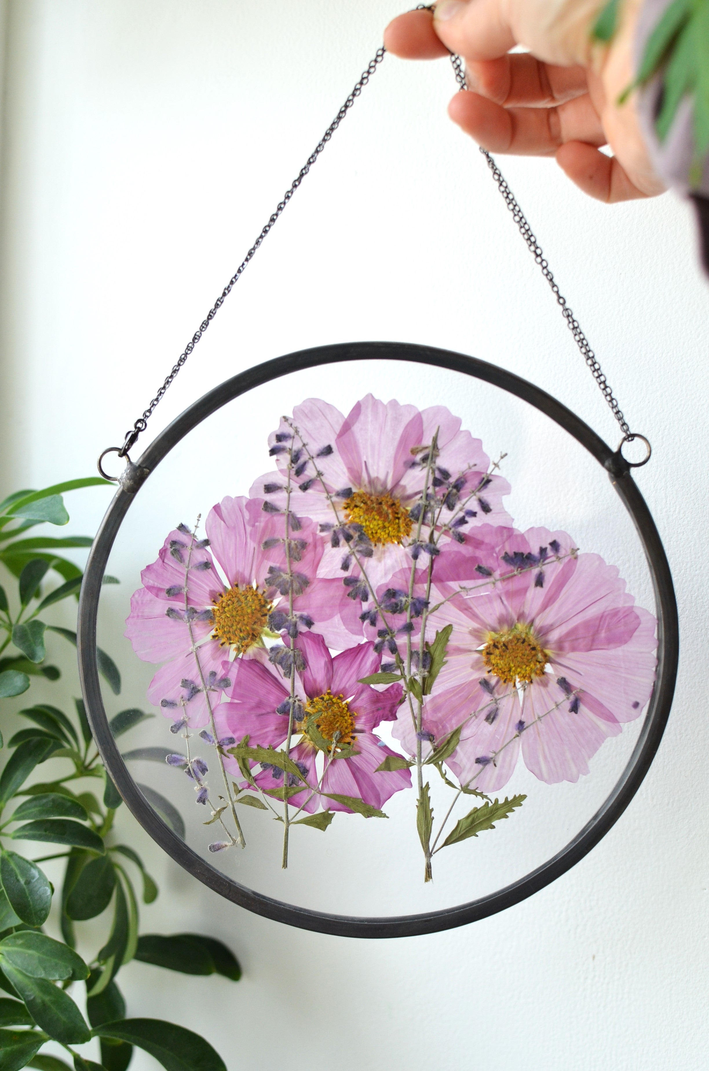 8x10 Pressed Cosmos Floral high quality wall hanging