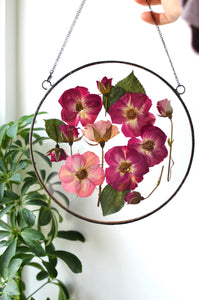 Round pressed flower wall hanging - Red ROSE