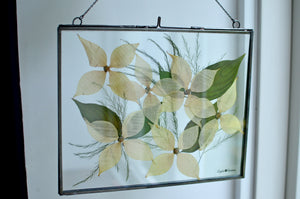 Spring Dogwood - Pressed flower frame