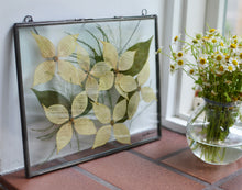 Load image into Gallery viewer, Spring Dogwood - Pressed flower frame