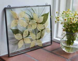 Framed Wall Art Set of 3 Pressed Flower Frame Hanging Floral Décor 812  Inches &160 