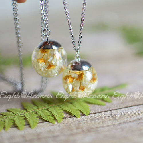 Everlasting daisy terrarium necklace