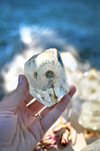 Full Dandelion Puff Crystal