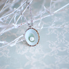 Load image into Gallery viewer, Seashell jewelry freshwater pearl in the blue limpet shell