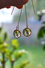 Load image into Gallery viewer, Real Fern Leaf Earrings, brass dangle earrings