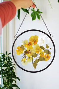 Round pressed flower wall hanging - Viola Pansy