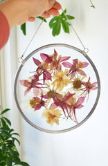 Huckleberry Pressed Flower Frame – City Bird