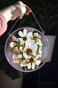 Round pressed flower wall hanging - White flowers Mix