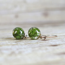 Load image into Gallery viewer, Handcrafted earrings feature a piece of beautiful green Norwegian moss, preserved in the clear jewelry grade resin. 