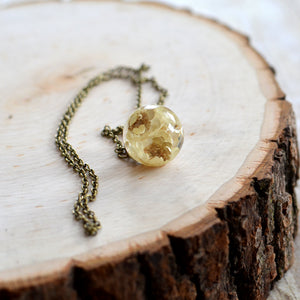 Preserved Star Flower small sphere necklace