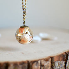 Load image into Gallery viewer, Seashell necklace / Handmade jewelry