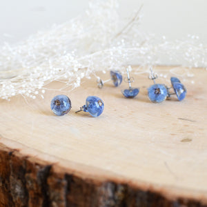 Forget me not earrings studs