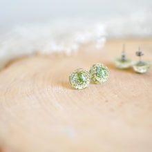 Load image into Gallery viewer, (Wholesale) Queen Anne&#39;s Lace Floral stud earrings