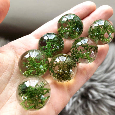 Beautiful Norwegian reindeer moss is encased in the resin sphere perfectly preserving its natural structure and gorgeous rich green color. 