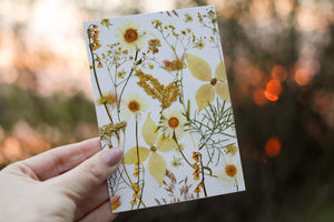 White Flower Mix - Pressed flower collection card
