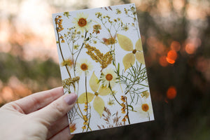 (Wholesale) White Flower Mix - Pressed flower collection card