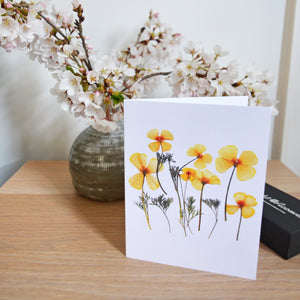 (Wholesale) California Poppy - Pressed flower collection card
